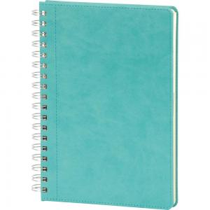 Spiralli Tarihsiz Defter ( 20 x 28 cm )