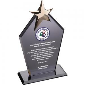 Kristal Plaket ( 12 x 21 cm )